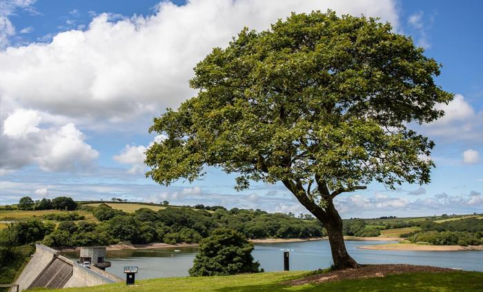 Llys-y-frân Lake & Visitor Centre